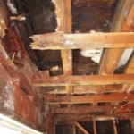 Dry Rot Repair Dry Rot Repair